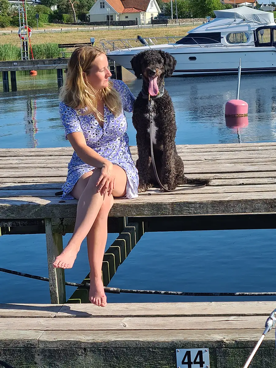 magda-västergårdens-labradoodle---009