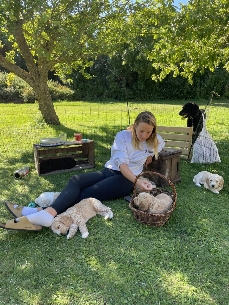 Valpmys med lillmatte Jonna i trädgården, alla vill gosa och leka